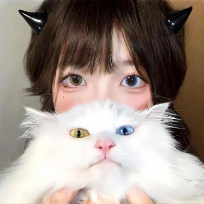 侠盗高飞