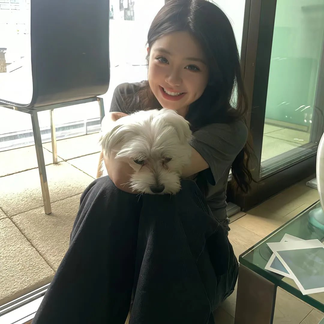 勇探雪沉冤