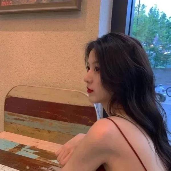 狗狗圣诞节